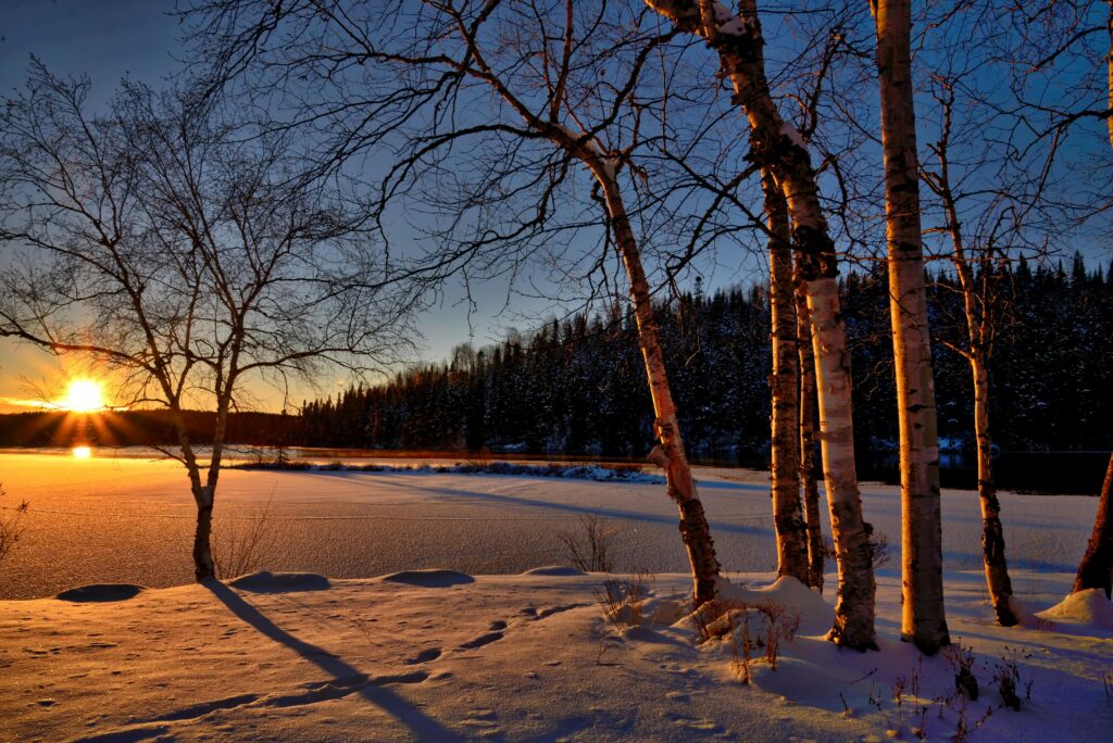 Winter sunset over a snowy landscape with bare trees and a forest in the background, representing reflection and calm during business slow seasons.